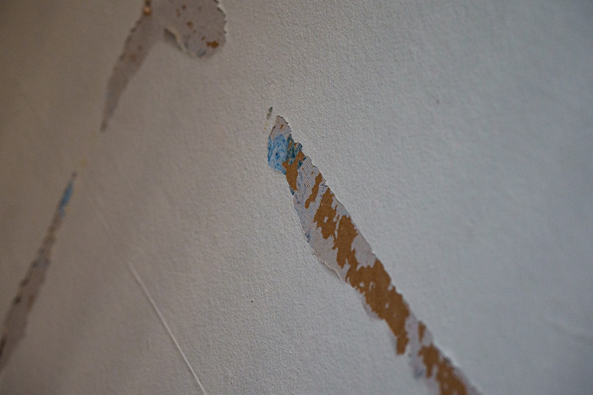 Mold Remediation service in Sanford, FL